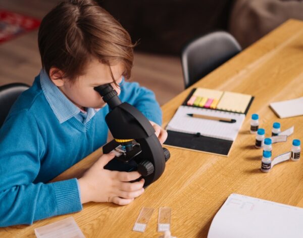 The Visionary Class – Thinking Minds LLC